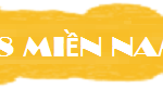 giải tám xs miền nam